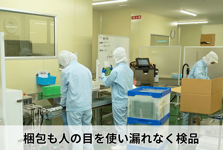 梱包ももれなく検品